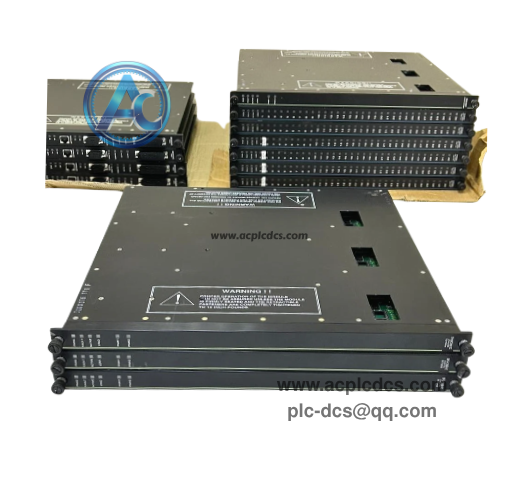 TRICONEX 3805E (3).png