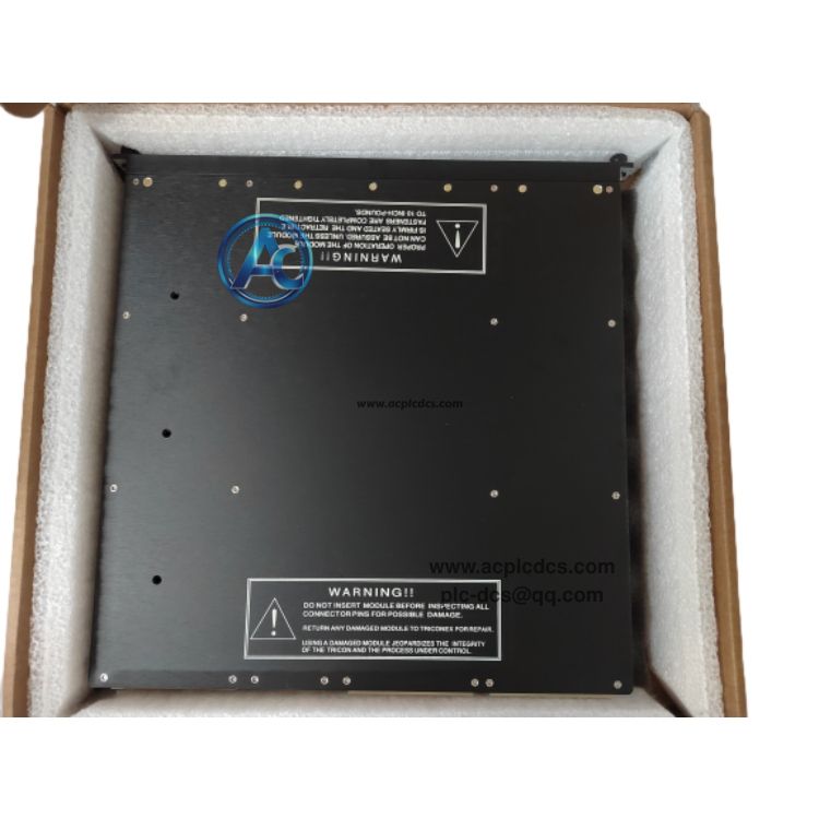 TRICONEX 3625C1 Digital Output Module in